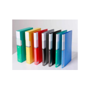 CARPETA CON 20 FUNDAS A4